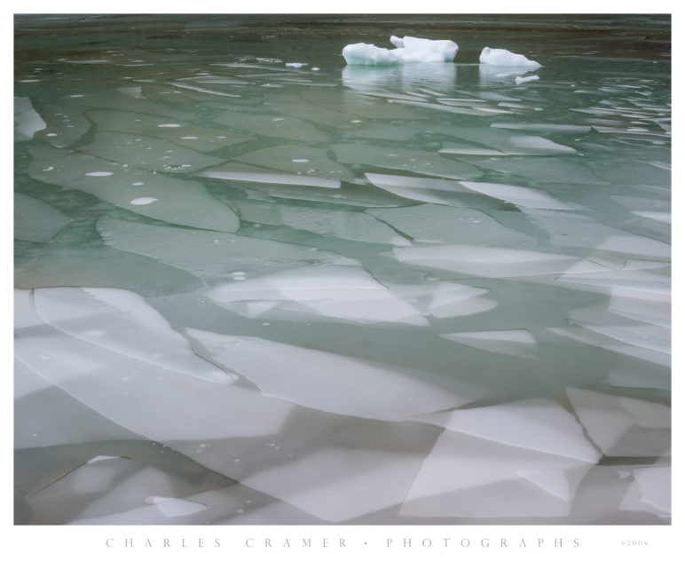 Partially Frozen Glacial Pond, Icebergs, Jasper National Park, Canada