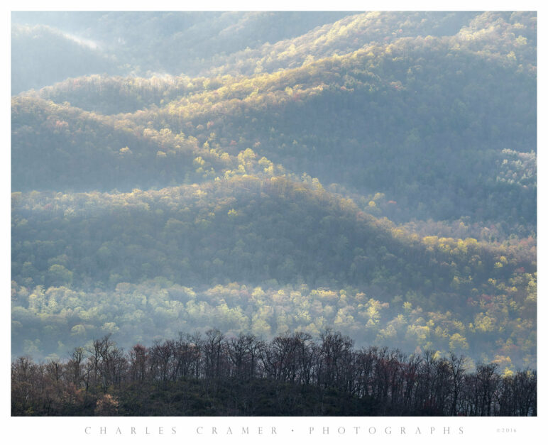 Morning Mist, Ridges, Appalachian Mountains