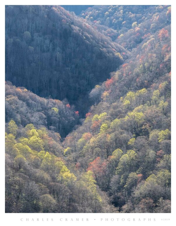 Hillsides with Colorful Trees, Great Smoky Mountains