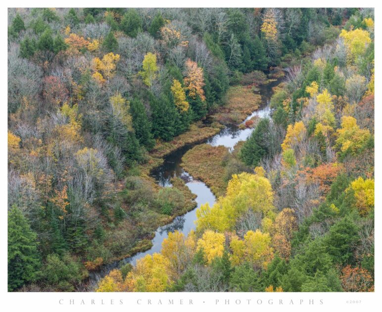 Autumn, Trees and Creek, Upper Peninsula, Michigan