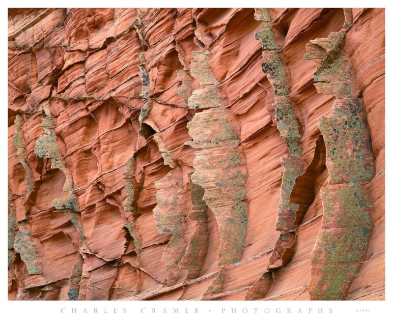 "Hall of Fins," Protected Area, Paria Wilderness, Utah