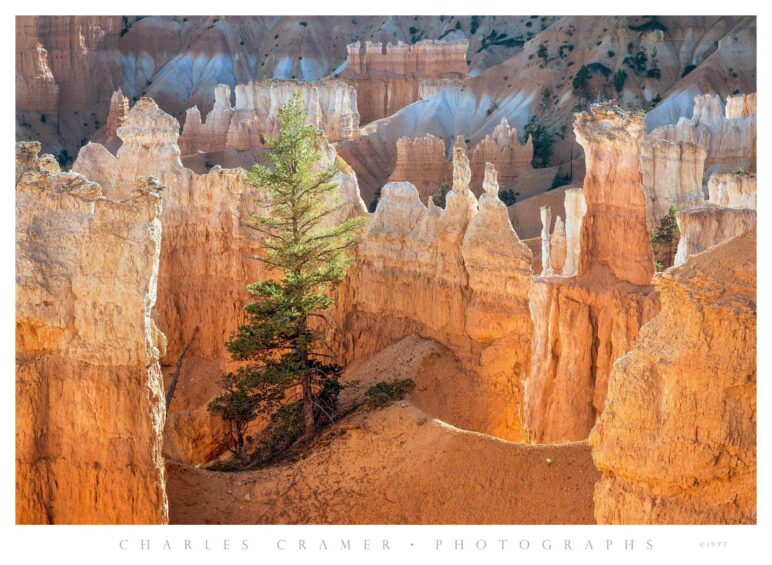 View From a Trail Below Sunrise Point, Bryce Canyon, Utah 1977