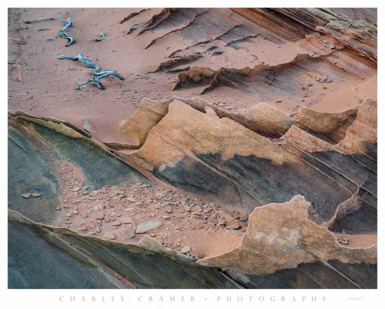Fins and Snags, Paria Wilderness, Utah