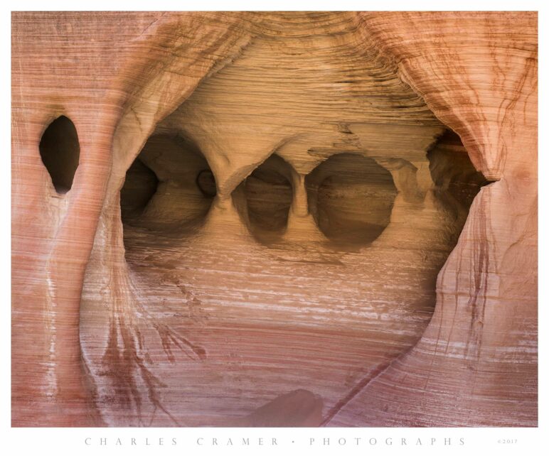 Water-Carved Openings, Sandstone Wall, Canyon, Utah