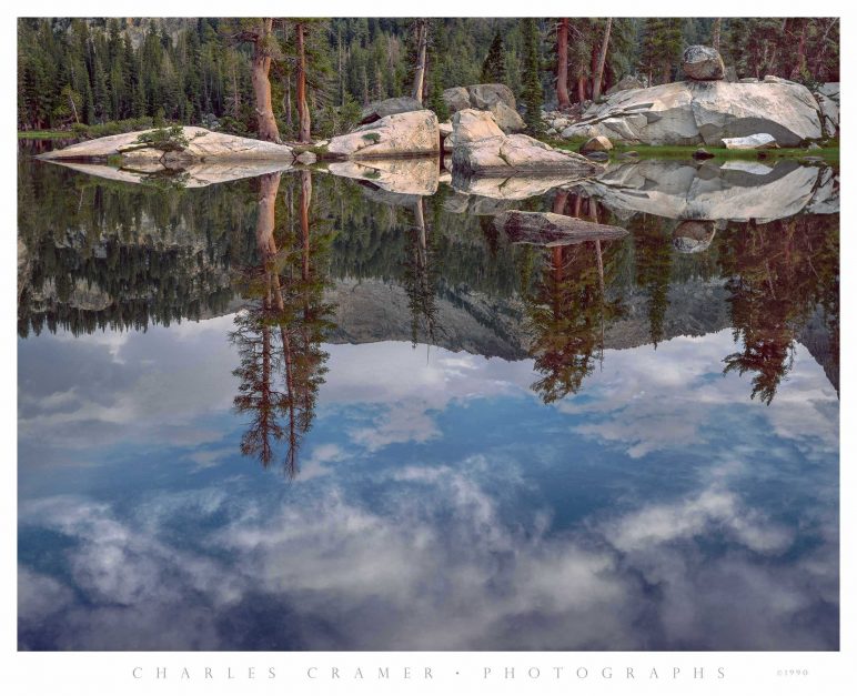 Detail, Ten Lakes Basin, Yosemite