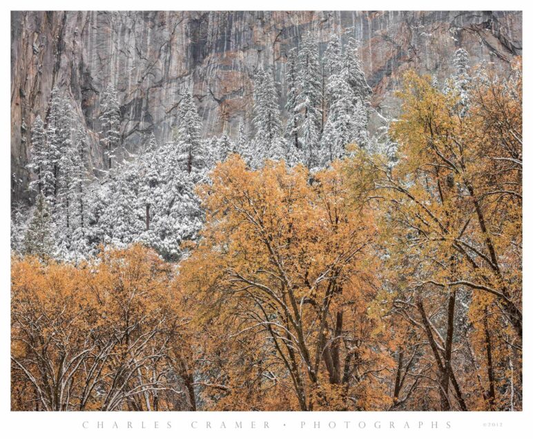 Early Snow, Autumn, Cathedral Cliffs, Yosemite