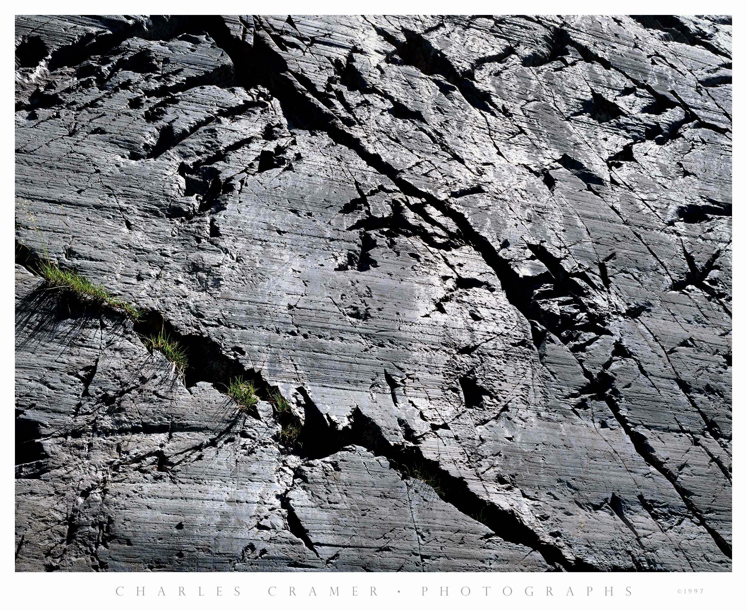 Granite Wall in Sun, Grasses,  Ediza Lake, Ansel Adams Wilderness