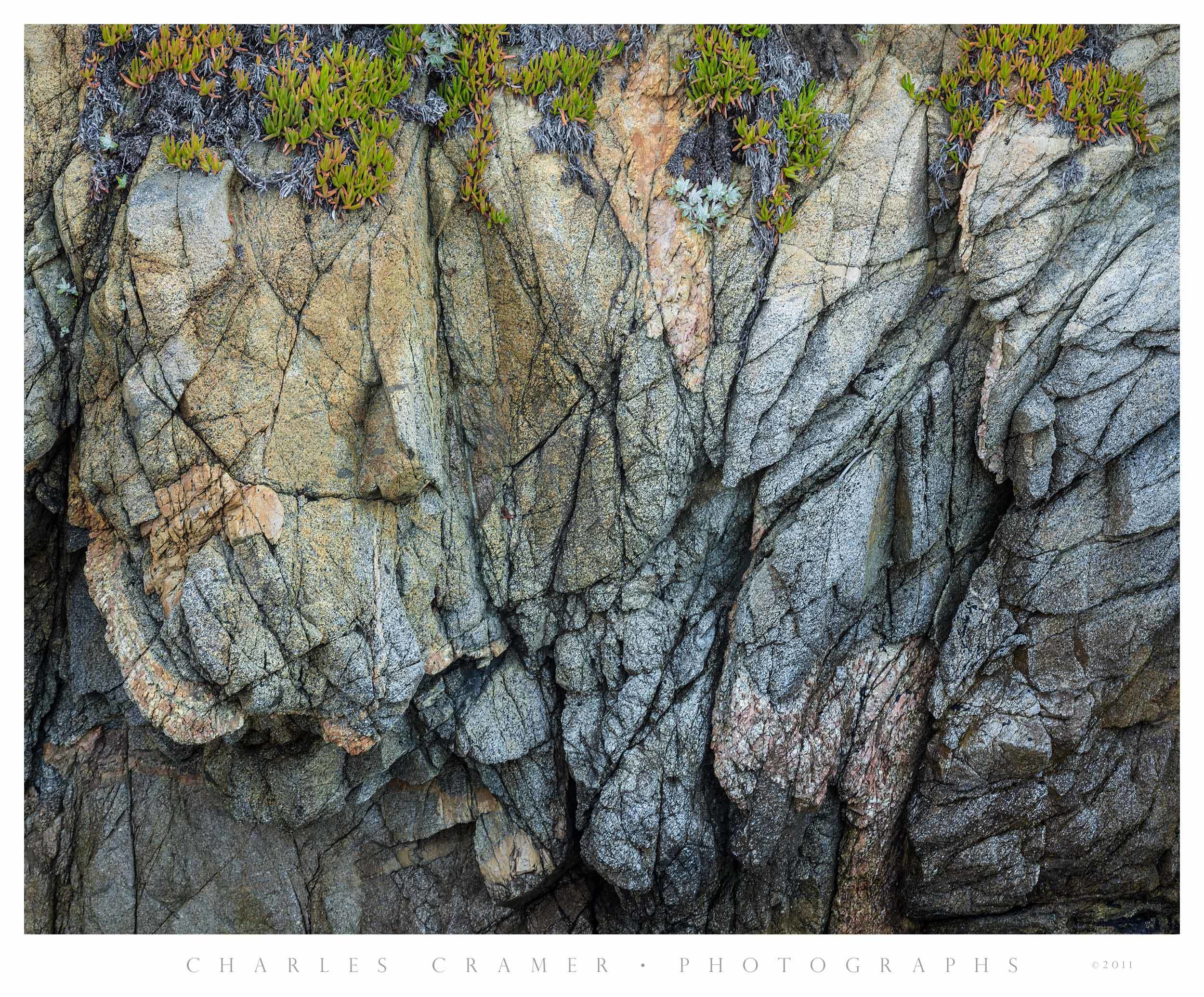 Iceplant, Rocks, Point Lobos