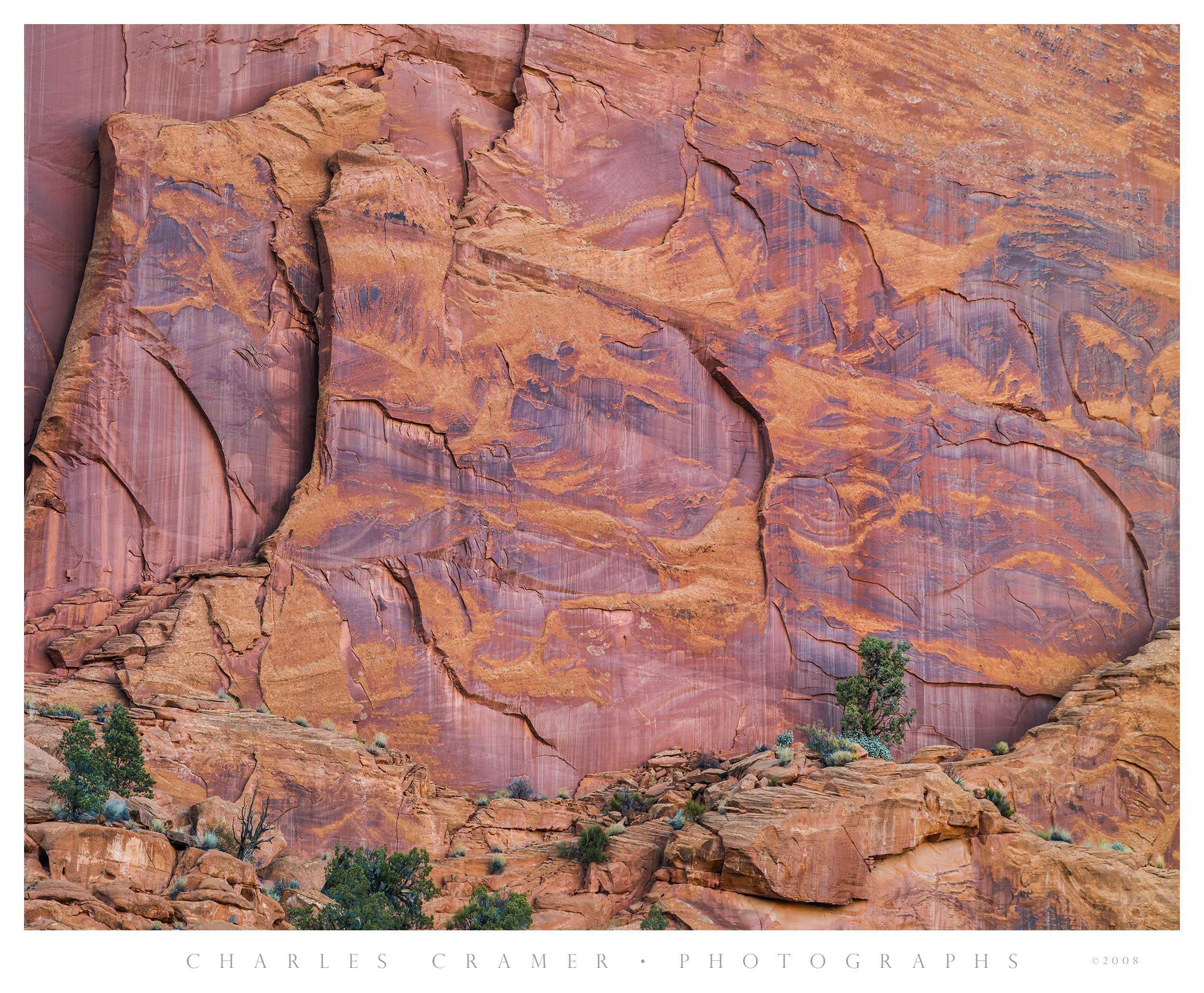 Sandstone and Junipers, Long Canyon, Utah