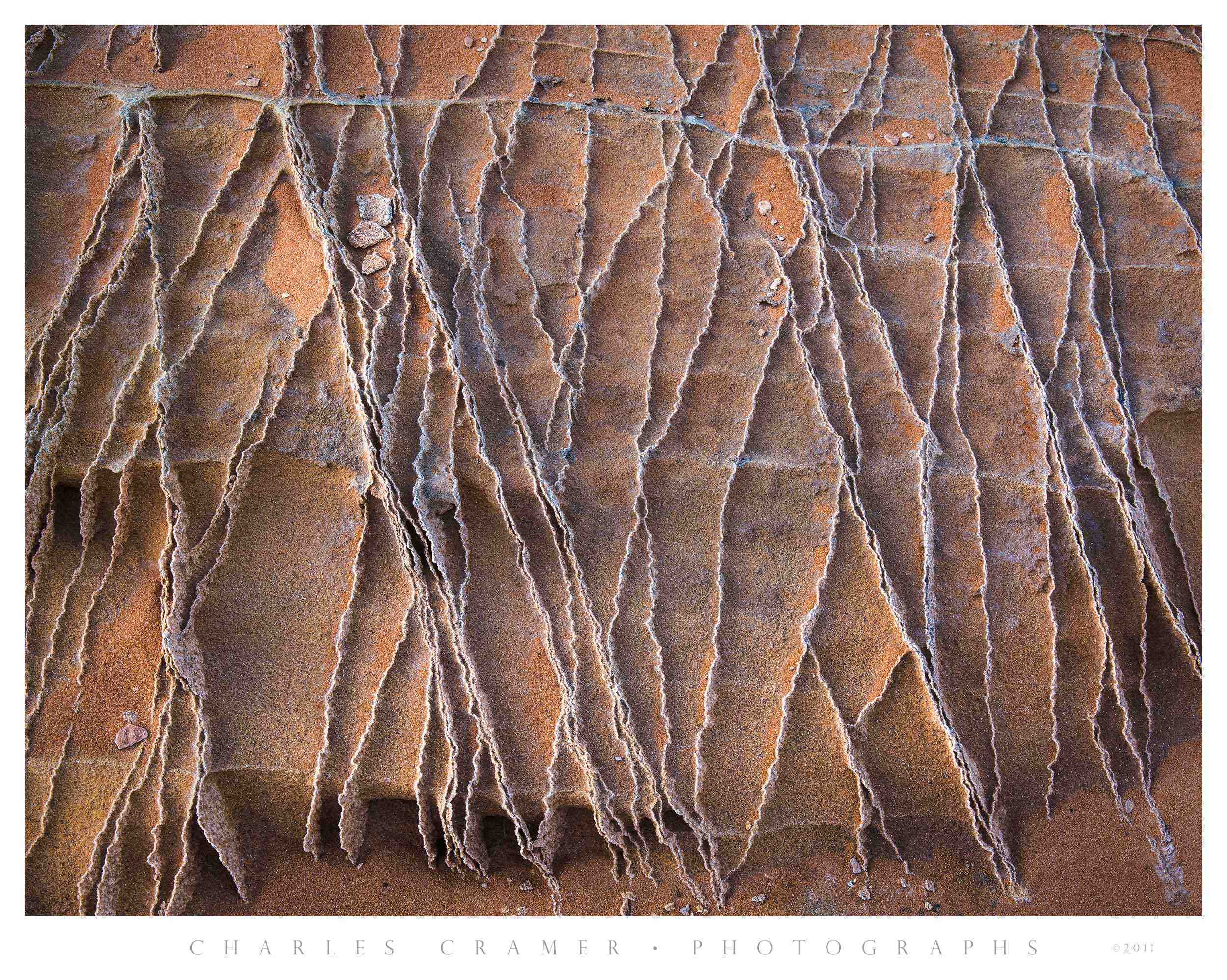 Sandstone Fin Detail, Waterpockets Area, Paria Wilderness