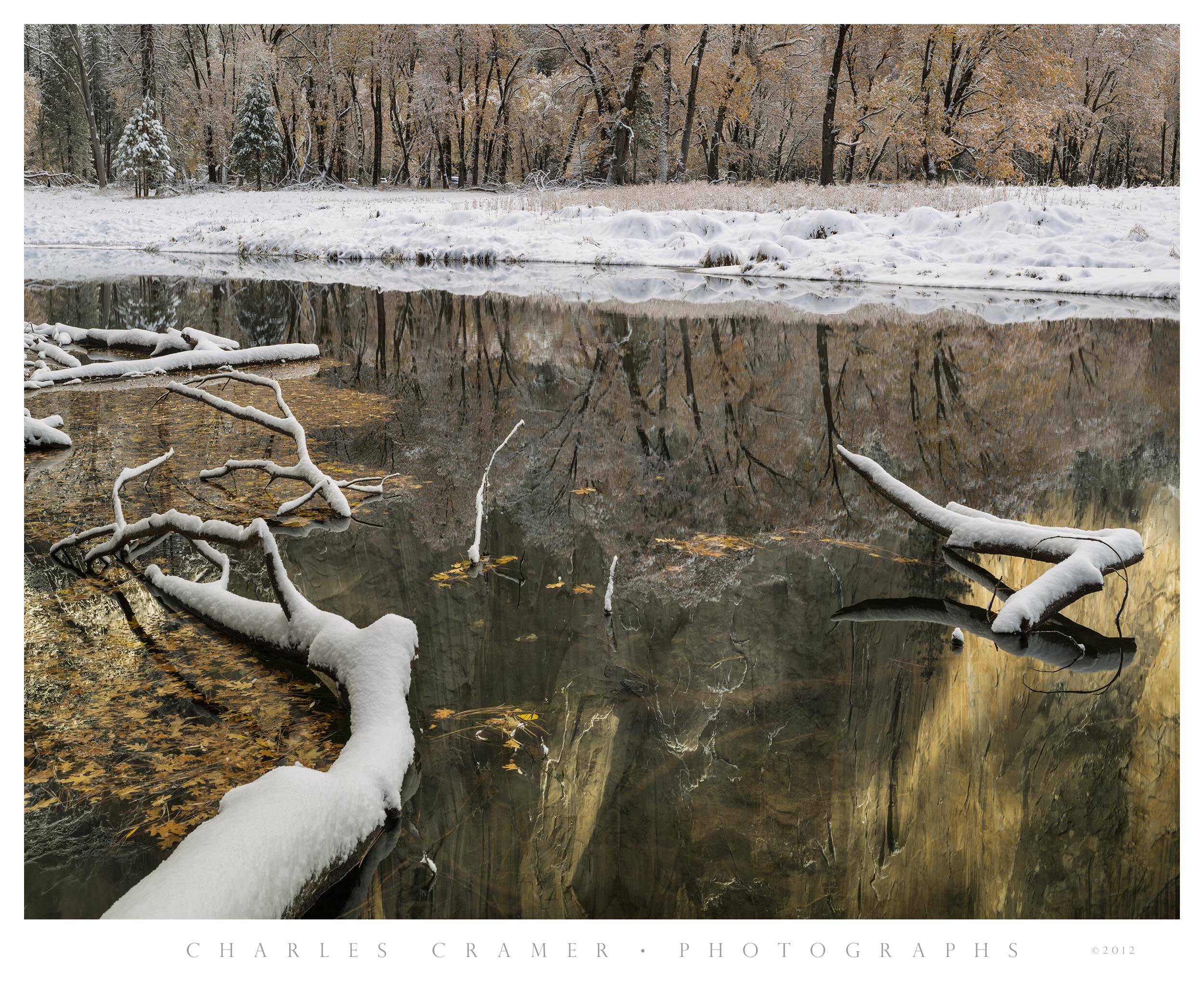 Fallen Branches, Winter, Merced River