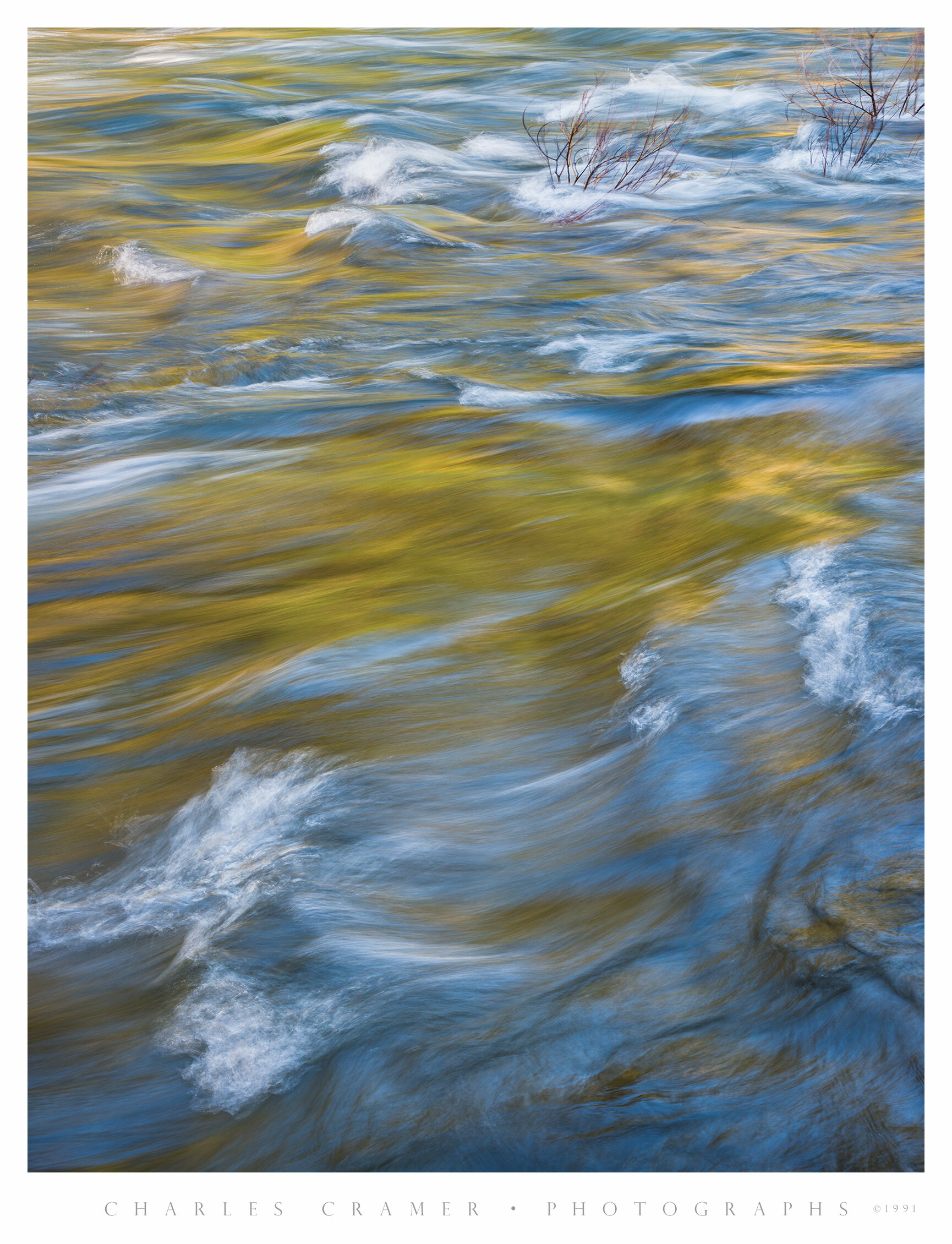 Shrubs in Spring Flow, Merced River, Yosemite